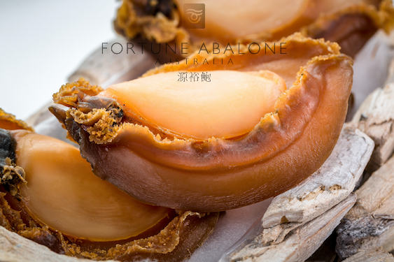 澳洲野生深海溏心網鮑  3-5 Heads Dried Thorny Abalone