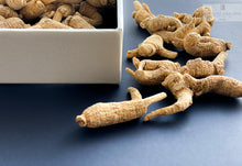 Load image into Gallery viewer, 半野生花旗参 Semi-Wild American GinSeng