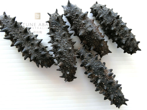 冰岛野生刺参Iceland Wild Deep Sea Thorny Sea Cucumber