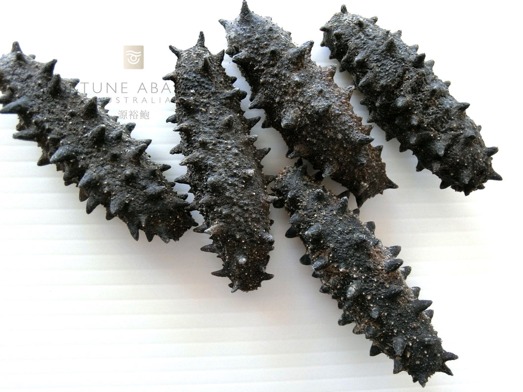 冰岛野生刺参Iceland Wild Deep Sea Thorny Sea Cucumber