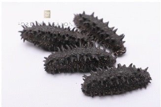 Supreme Kanto Japanese Thorny Sea Cucumber