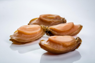 澳洲野生溏心青邊幹鮑  Dried Green Lip Abalone（500g）