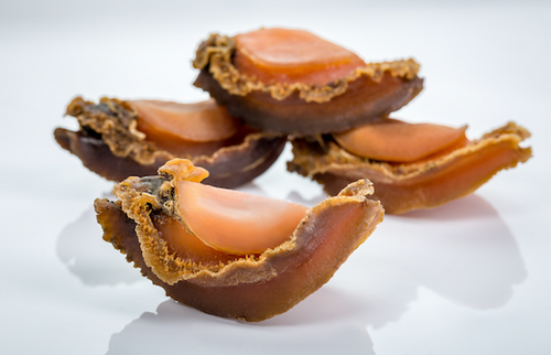 澳洲野生深海溏心網鮑  8-10头/ Heads Dried Net Abalone-8-10 （500g）