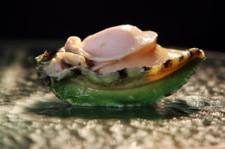 澳洲深海野生青邊冷凍鮑  1-2 Heads Frozen South Australia Green Lip Abalone（500g)