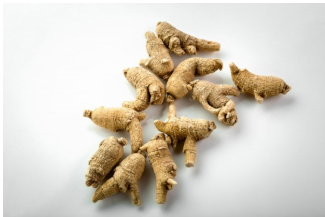 野生花旗参（50g）